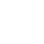 twitter / x icon